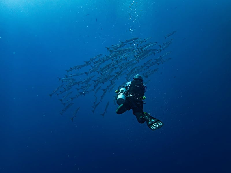 Exploration Photography